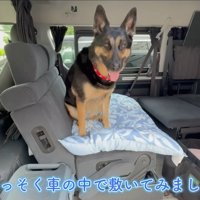さっそく使ってくれました♪