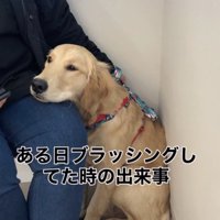 見つけてしまった…