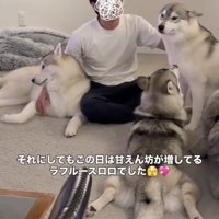 幸せすぎる、くつろぎタイム