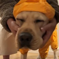 「OKじゃない」