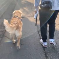 落ち着いて歩けるように成長