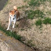 駆け寄ってきました！