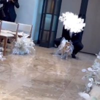 リングドッグにも挑戦！！