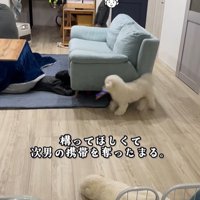 まる君VS男の子2