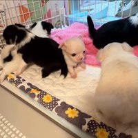 ぶつかってよろけてしまいました