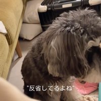 コクッと頷いてくれました！