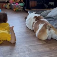 同じポーズで床に寝る犬と子ども