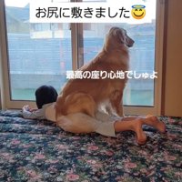 女の子の上で外を眺める