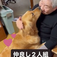 大型犬とおばあちゃん