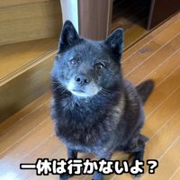 途端に悲しそうな表情に
