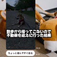 真っ暗になってる！！