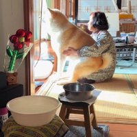 ぽかぽか陽気の日…