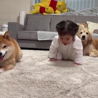 勝者はうにくんでした！！