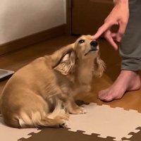 もう一度ツンツン