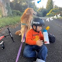 道草たくさんだけど…