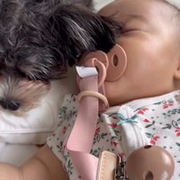 マロンちゃんと赤ちゃん3