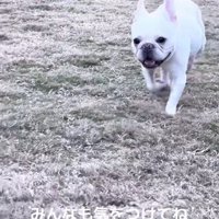 何事もなかったかのようにニコニコ♪