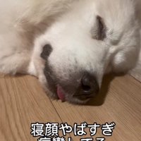 無防備な寝顔にホッコリ