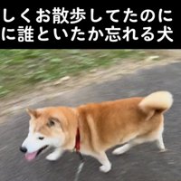 歩いている犬