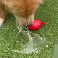 割れた水風船