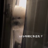 バレないで家を出られるか挑戦⑩