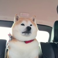 「あれ？なにしてたんだっけ」