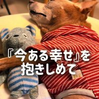 それ以上に尊いものがたくさんある！