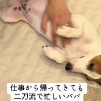ナデナデにウットリ…