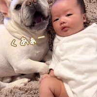 ポトフくんが眠くなって…