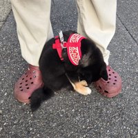 しょんぼり