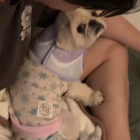 「聞いて！ママがいじめたの」