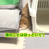 「もう放っておいて！」