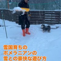 龍之介くんの雪遊び