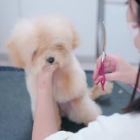 眠たくなってしまった