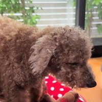 家族が集まると…