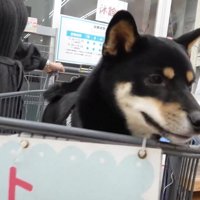 病院から目をそらしています