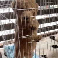 生後2か月のカムくん2