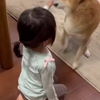 「触らないで！！」
