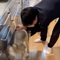 アピールが実って、抱っこの予感