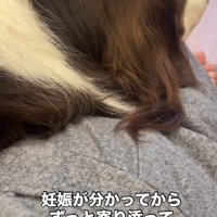 ママにも寄り添ってくれていた