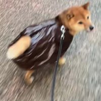 「これ、本当に必要…？」