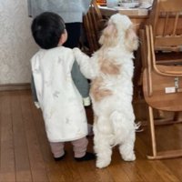 息ぴったり