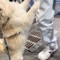 喜ぶエリーちゃん