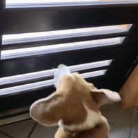 「きたっ！！」
