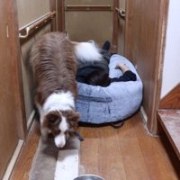 発見！すぐに食べに行きます