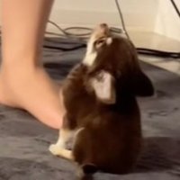 ちょこんとしていて可愛い♡