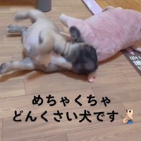 ちょっぴり天然な一面も♪