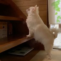 「ママ～！起きて～！」