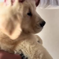 幸せ確定だね！！