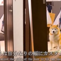 幅をカスタマイズするらんまるくん